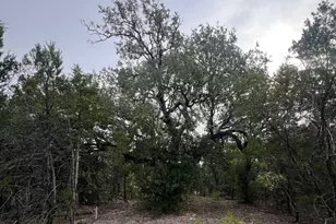 1096 Creek Crossing Rd, Nemo, TX 76070 - Photo 13