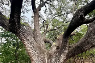 1096 Creek Crossing Rd, Nemo, TX 76070 - Photo 15