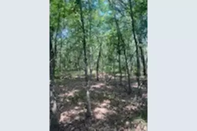 Tbd County Road 1180, Cooper, TX 75432 - Photo 9