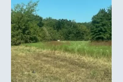 Tbd County Road 1180, Cooper, TX 75432 - Photo 7