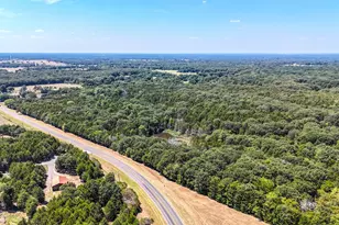 000 Fm-273, Ivanhoe, TX 75447 - Photo 1
