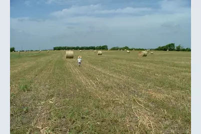 000 Mirage Drive, Nevada, TX 75173 - Photo 1