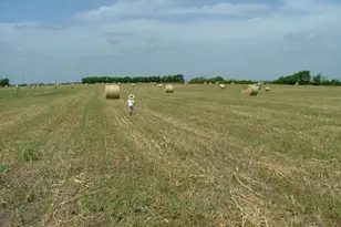 000 Mirage Dr, Nevada, TX 75173 - Photo 1