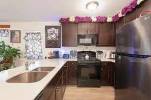 3217 Mountain Lion Ave, McKinney, TX 75071 - Photo 11