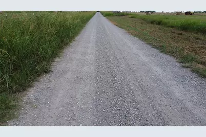 Tbd Lot 4 County Road 2105, Cooper, TX 75432 - Photo 5