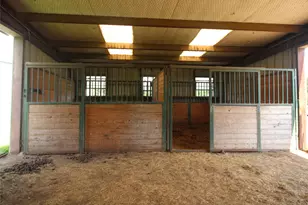 446 Vz County Road 4108, Canton, TX 75103 - Photo 29