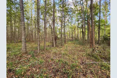 Lot 283 Eland Trail, LaRue, TX 75770 - Photo 19