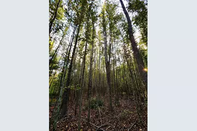 Lot 283 Eland Trail, LaRue, TX 75770 - Photo 13