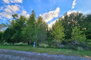 Lot 283 Eland Trail, LaRue, TX 75770 - Photo 25