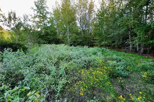 Lot 283 Eland Trail, LaRue, TX 75770 - Photo 9