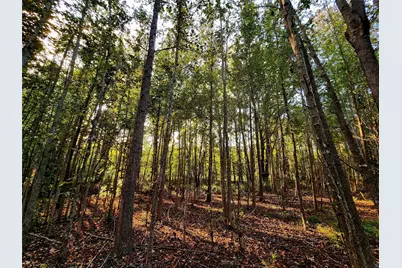 Lot 283 Eland Trail, LaRue, TX 75770 - Photo 15