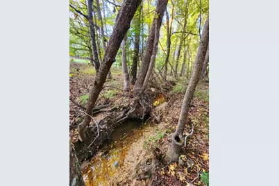 Lot 283 Eland Trail, LaRue, TX 75770 - Photo 21