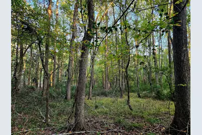 Lot 283 Eland Trail, LaRue, TX 75770 - Photo 23