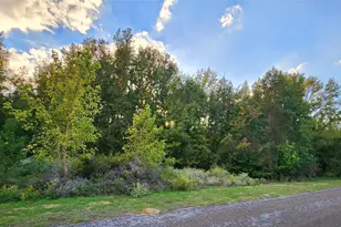 Lot 283 Eland Trail, LaRue, TX 75770 - Photo 1