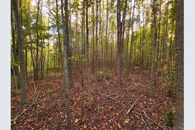 Lot 283 Eland Trail, LaRue, TX 75770 - Photo 7