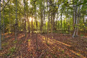 Lot 283 Eland Trail, LaRue, TX 75770 - Photo 11