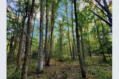 Lot 283 Eland Trail, LaRue, TX 75770 - Photo 3