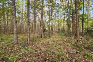 Lot 283 Eland Trail, LaRue, TX 75770 - Photo 19