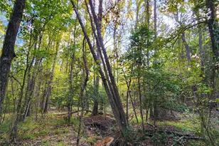 Lot 283 Eland Trail, LaRue, TX 75770 - Photo 5