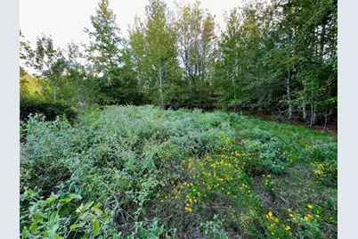 Lot 283 Eland Trail, LaRue, TX 75770 - Photo 9