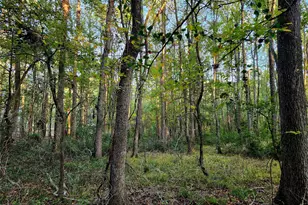 Lot 283 Eland Trail, LaRue, TX 75770 - Photo 23