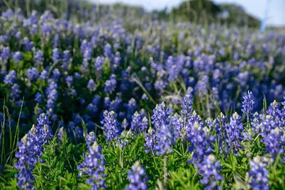 Lot 65 Richland Park, Corsicana, TX 75109 - Photo 21