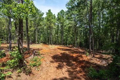 Tract 1 County Road 4102, Jacksonville, TX 75766 - Photo 7
