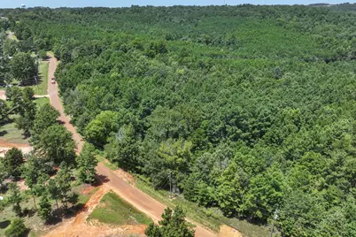 Tract 1 County Road 4102, Jacksonville, TX 75766 - Photo 17