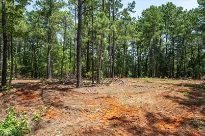 Tract 2 County Road 4102, Jacksonville, TX 75766 - Photo 7