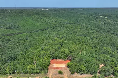 Tract 2 County Road 4102, Jacksonville, TX 75766 - Photo 11