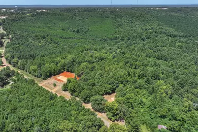 Tract 2 County Road 4102, Jacksonville, TX 75766 - Photo 3