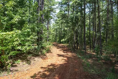 Tract 2 County Road 4102, Jacksonville, TX 75766 - Photo 5