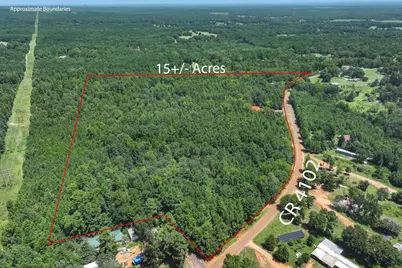 Tract 2 County Road 4102, Jacksonville, TX 75766 - Photo 31