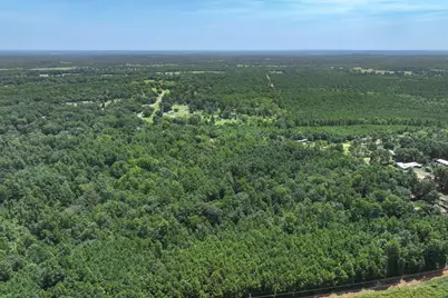 Tract 3 County Road 4102, Jacksonville, TX 75766 - Photo 11