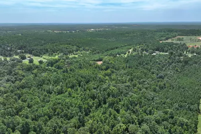 Tract 3 County Road 4102, Jacksonville, TX 75766 - Photo 5