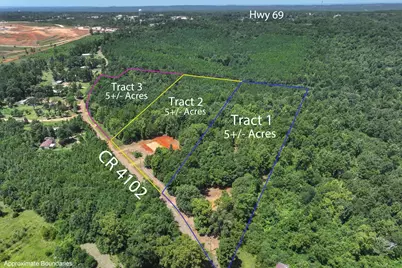 Tract 3 County Road 4102, Jacksonville, TX 75766 - Photo 13