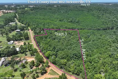 Tract 3 County Road 4102, Jacksonville, TX 75766 - Photo 1