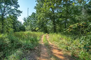 1807 Vz County Rd 1925, Edgewood, TX 75117 - Photo 31