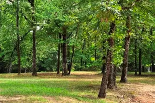 108 Elm St, Mabank, TX 75156 - Photo 5