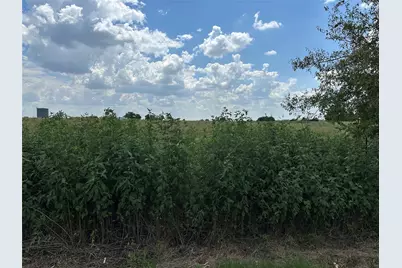 Lot 3 Rutledge Road, Whitewright, TX 75491 - Photo 9