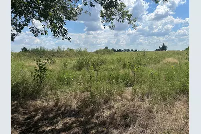 Lot 4 Rutledge Road, Whitewright, TX 75491 - Photo 5
