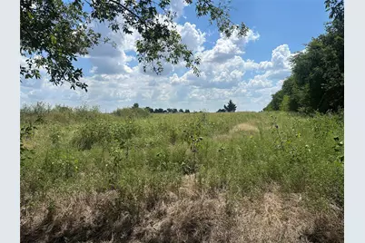 Lot 4 Rutledge Road, Whitewright, TX 75491 - Photo 3
