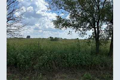 Lot 6 Rutledge Road, Whitewright, TX 75491 - Photo 13