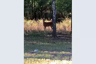 4 Arroyo Court, Nocona, TX 76255 - Photo 37