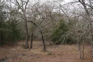 10530 Private Rd 5207, Malakoff, TX 75148 - Photo 9