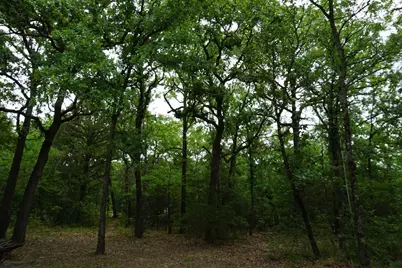 10530 Private Road 5207, Malakoff, TX 75148 - Photo 11