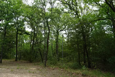 10530 Private Road 5207, Malakoff, TX 75148 - Photo 3