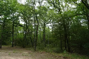 10530 Private Rd 5207, Malakoff, TX 75148 - Photo 3