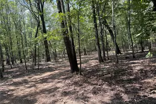 7354 Farm Road 412, Clarksville, TX 75426 - Photo 29