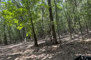 7354 Farm Road 412, Clarksville, TX 75426 - Photo 31